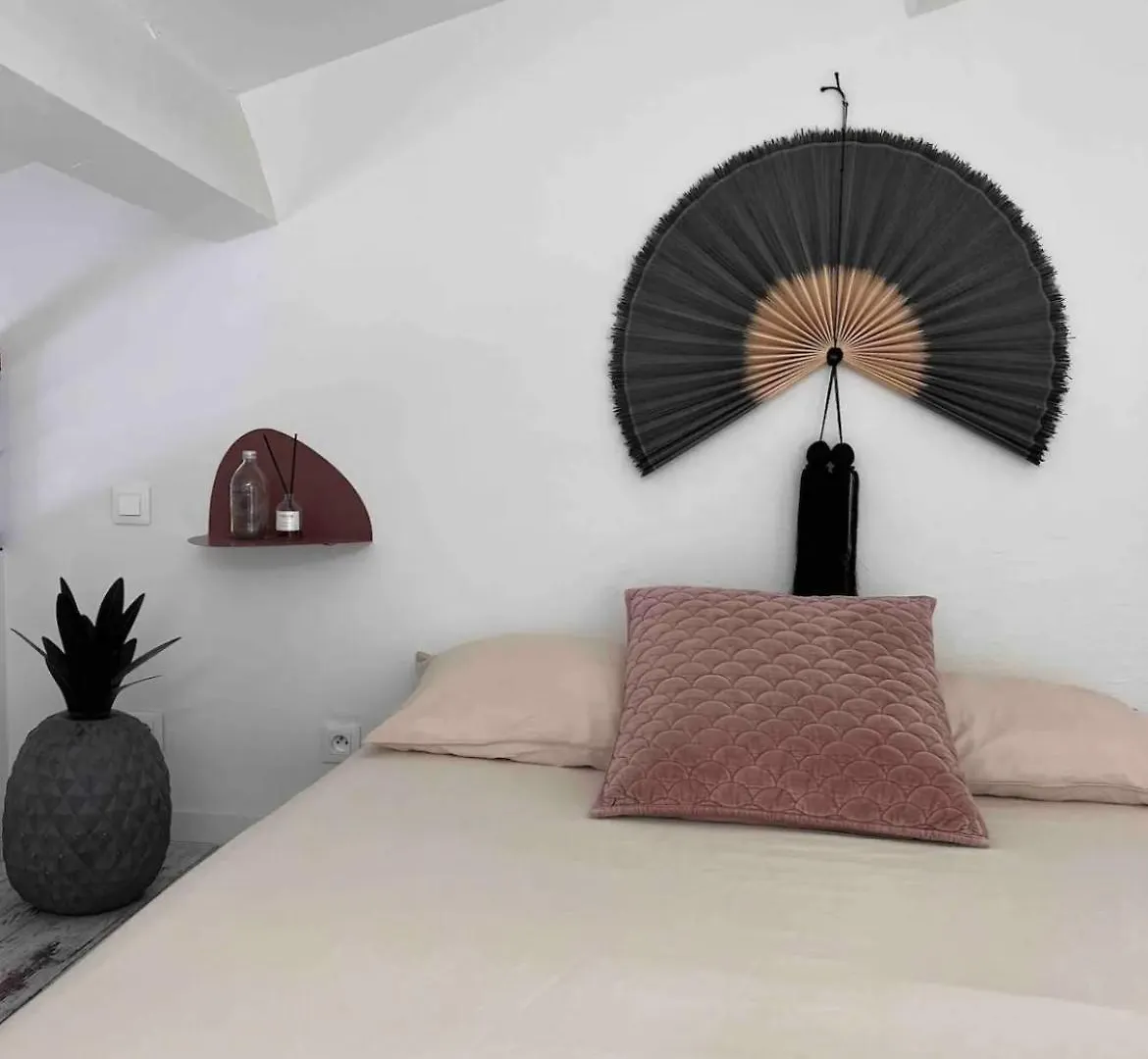 Le Duplex Apartment Six-Fours-les-Plages France